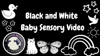 Wonder World Sensory - BLACK AND WHITE! High contrast baby sensory video for baby learning. #baby ￼