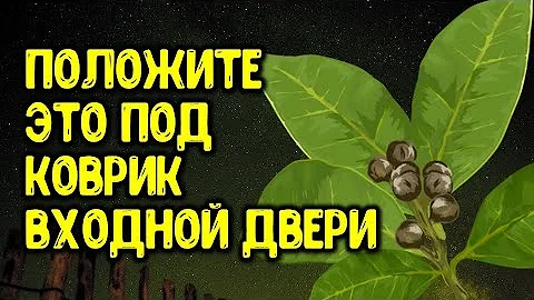 Положите под коврик у входной двери 4 лавровых листа на растущую луну