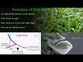 The Science Behind Dew and Frost Formation