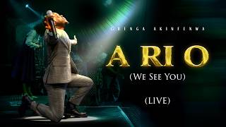 Gbenga Akinfenwa - A Ri O (We See You)
