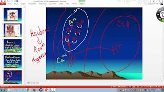 Chemical and physiological buffers and how they work
