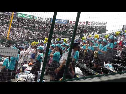 花咲徳栄 次々と繰り出す多彩な応援（その１）2017年 甲子園 第99回全国高等学校野球選手権大会 準決勝
