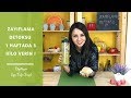 Download Zayıflama Detoksu - 1 Haftada 3 Kilo Verin - Diyetisyen Ayşe Tuğba Şengel Zayıflama Detoksu - 1 Haftada 3 Kilo Verin - Diyetisyen Ayşe Tuğba Şengel