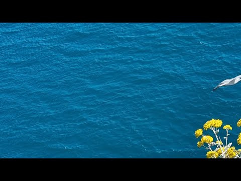 Трансовое упражнение: ИСЦЕЛЕНИЕ