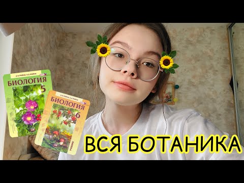 Видео: Содержит ли протонема какие-либо структуры?