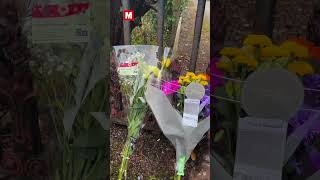 Skeletal remains found in Dublin search for boy not seen for four years