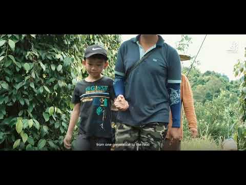 GI-CERTIFIED SARAWAK PEPPER POSITIONED FOR GREATER GLOBAL RECOGNITION