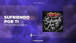 Sufriendo por ti - Los Grandes de Oaxaca (Visualizador Oficial)
