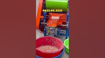 Máy bóc vỏ lạc 2 buồng gió  #farming #agriculture
