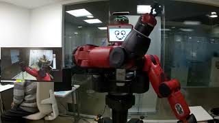 Enabling the Sense of Self in a Dual-Arm Robot