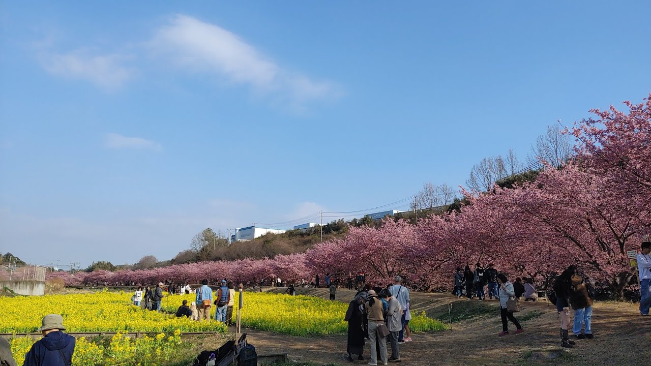 牧師チャネラーが活躍した19世紀