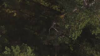 Askøy - October 2020