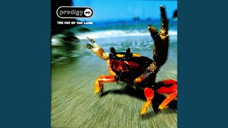 Video thumbnail of "The Prodigy - Smack My Bitch Up"