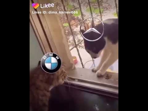 Лада со значком мерседес