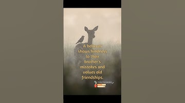 The Compassionate Believer | Kindness in Action | The Power of Empathy