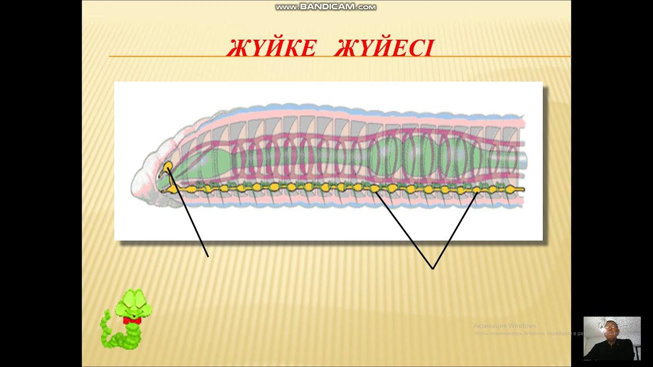 Дәрігердің кабинетіндегі секс (орысша видео) Жасырын камера порно видео
