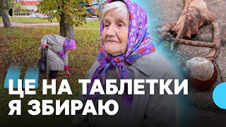"Це на таблетки": 80-річна жителька Новгорода-Сіверського збирає та здає каштани