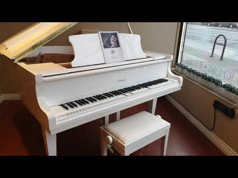 self-playing-piano-irmler-model-f160-(turkish-march)