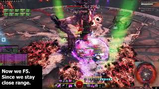 Cerus CM | Virtuoso Phase 1 Rotation Notes