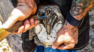 Satisfying Horse Hoof Trimming Compilation