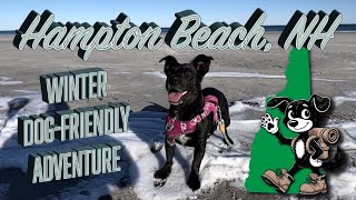 Hampton Beach, New Hampshire | Dog-Friendly Winter Adventure
