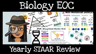 Biology EOC Review- 9th Grade STAAR Test @TeachingBiologyisFun  /TEACHING BIOLOGY IS FUN