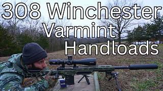 Is 308 Winchester an Accurate Coyote Hunting Cartridge? 308 Handloads w/ Lightweight Varmint Bullets