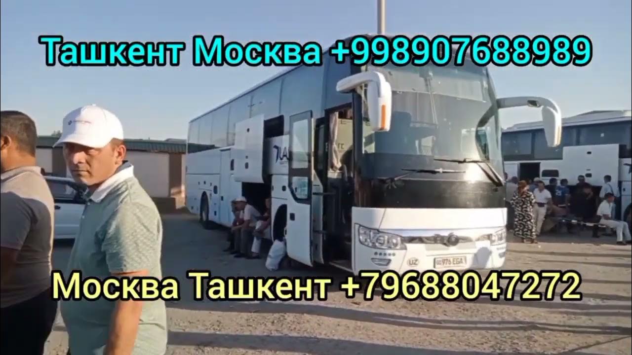 Тобус екатеринбург ташкент. Екатеринбург ташкент автобус. Автобус номер екатеринбург ташкент екатеринбург. Новосибирск ташкент автобус. Екатеринбург ташкент автобус.