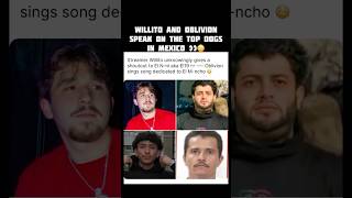 Willito and Oblivion s￼peak on top dogs in Mexico 😳 #shorts #foocommunity