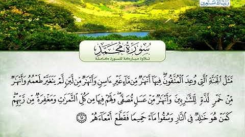 سورة محمد | بصوت القارئ الشيخ محمد عبد الرؤوف السوهاجي