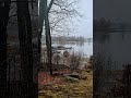 The Fall, Аutumn, lake #shorts #autumn #fall #lake  #leaves