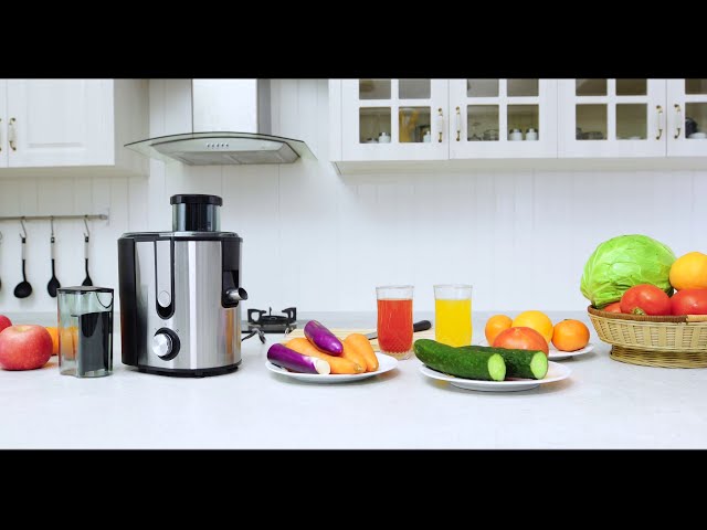 Costway Centrifugal Juicer Machine Juicer Extractor Dual Speed