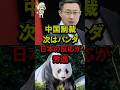 ㊗️230万再生！中国制裁次はパンダ日本の反応が秀逸 #自民党 #高市政権 #高市早苗 #台湾有事
