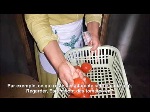 Go Energyles English Intro