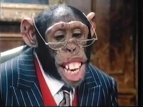 1990 PG Tips Chimps Board Room Advert - YouTube