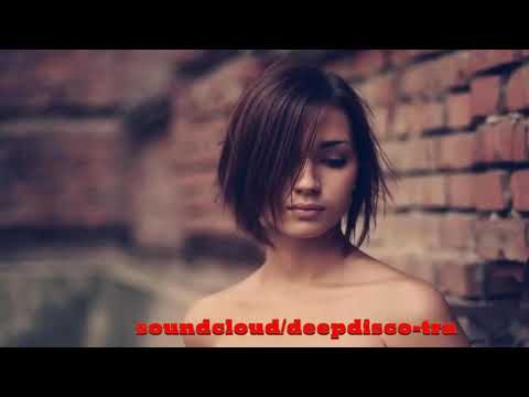 The Best Of Vocal Deep House Nu Disco 2013 (2 Hour Mixed By Zeni N)