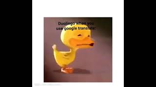 Duck Crying Meme Original Meme Version