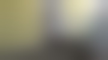 Python tries to Enter Home--Eats Rabbit Instead (Time Lapse X3) EXTENDED VERSION