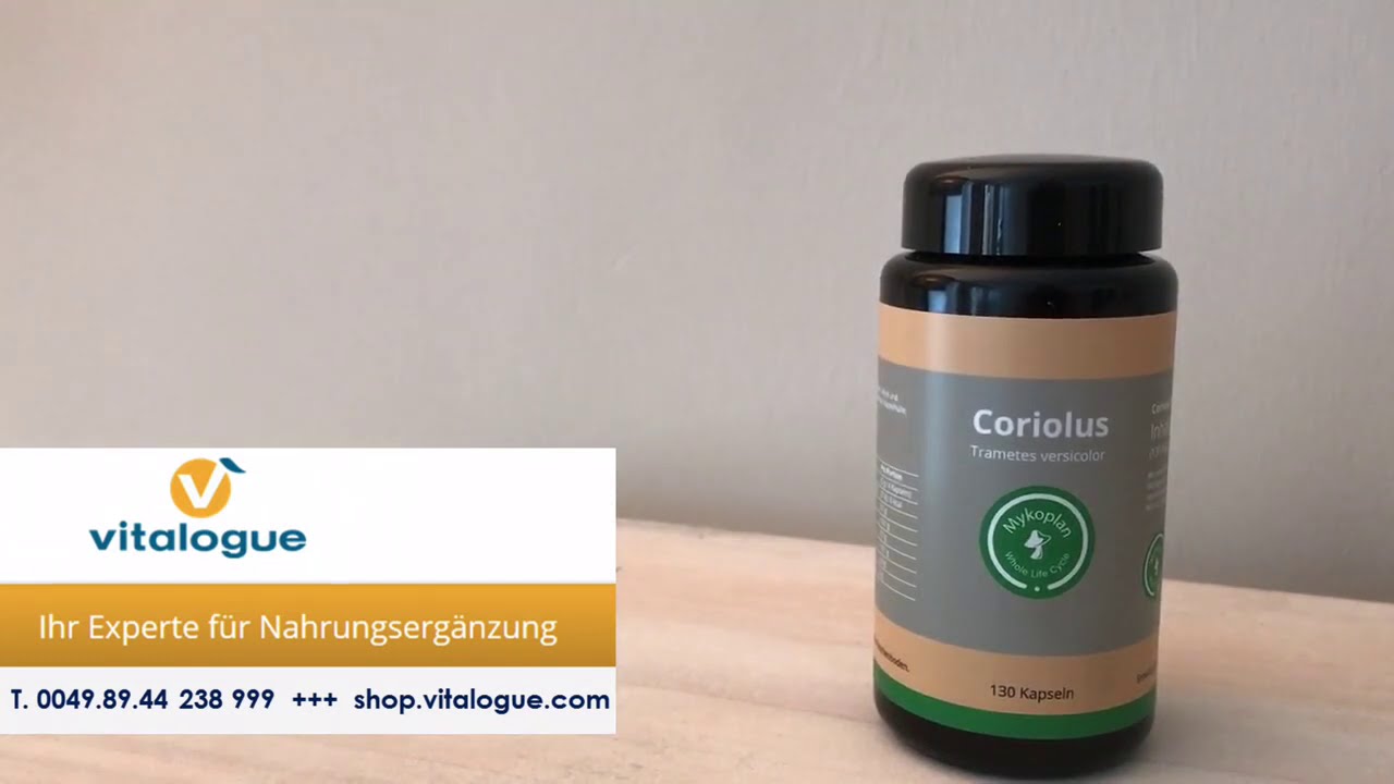Coriolus Vitalpilz - Gut für's Immunsystem | virale Infekte