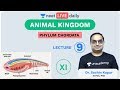 Animal Kingdom - L 9 | Phylum Chordata | Unacademy NEET | LIVE DAILY | NEET Biology | Sachin Sir