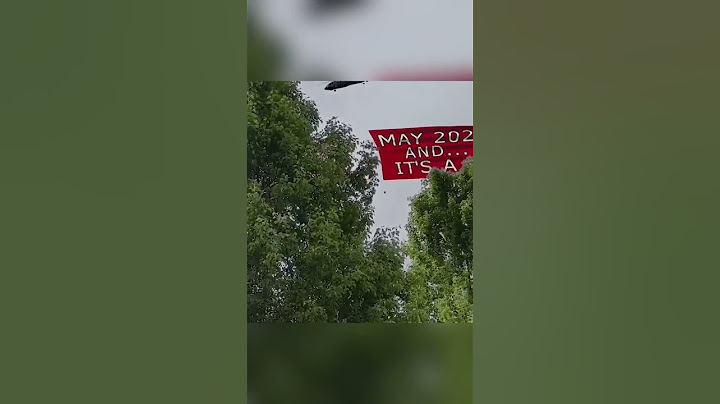 The best gender reveal EVER