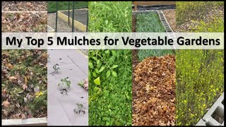 My Top Five Favorite Mulches for the Vegetable Garden