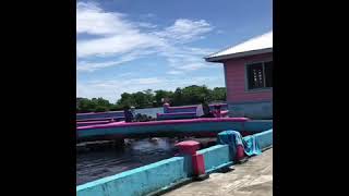 Vacation in Samoa 2019