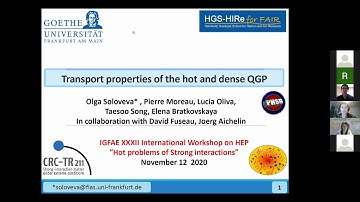 Olga Soloveva, Transport properties of the hot and dense QGP