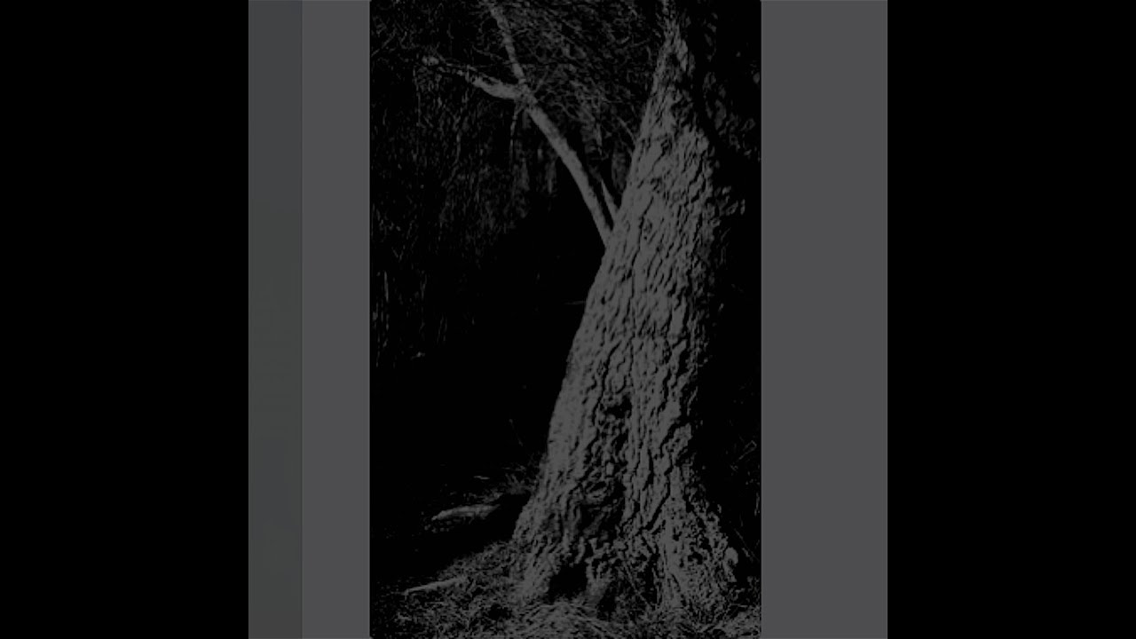 Mandragora/Trollsword/Starcave Nebula - Songs Of Night And Foliage (2021)