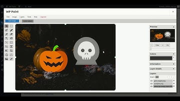 Adding external Images into WP Paint / WP Paint Pro