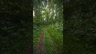 Download Lagu CØNTRA x Saturna - What I Can Do (Savej Remix) {Tribal Bass} [Loka Visuals] MP3