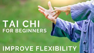 Best Tai Chi & Qi Gong For Beginners  Gentle Tai Chi & Qi Gong Routines for Stress Relief  #qigong