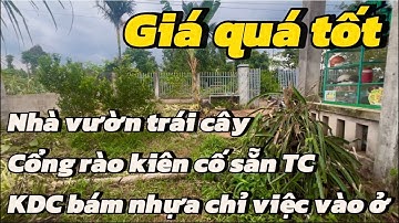 NHÀ VƯỜN TRÁI CÂY SẴN THỔ CƯ BÁM NHỰA Ở BR-VT(CŨ). anh tuấn bài bạc nợ nần cần bán gấp