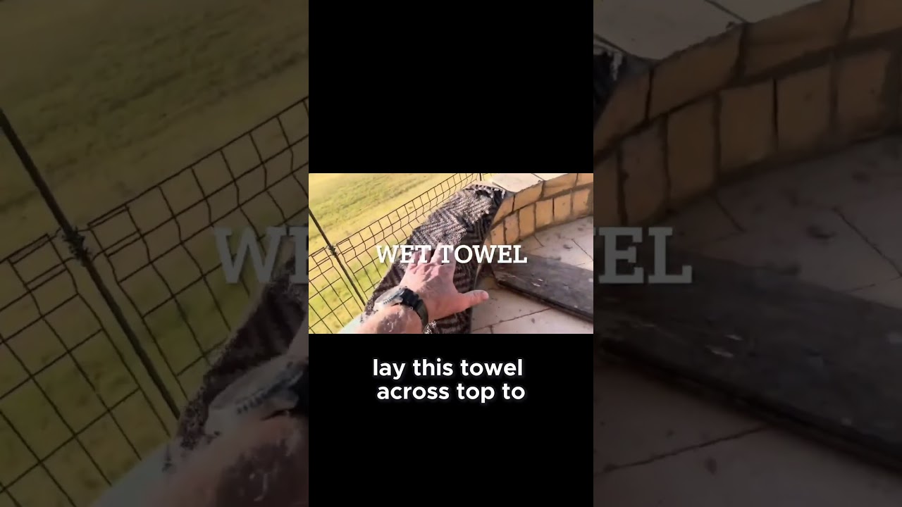 Brick Pizza oven build Soaking Bricks for Better Mortar Adhesion!